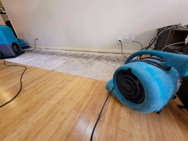 Professional Emergency Water Damage technician working in Deerfield, IL